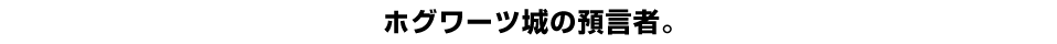 ホグワーツ城の預言者。