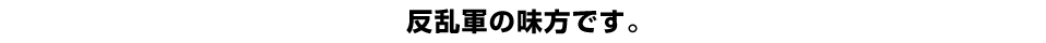 反乱軍の味方です。