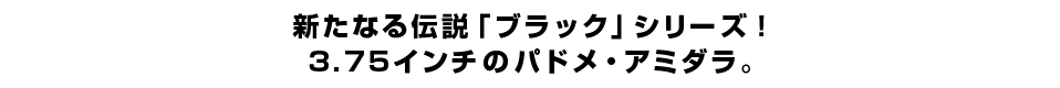 新たなる伝説「ブラック」シリーズ！3.75インチのパドメ・アミダラ。