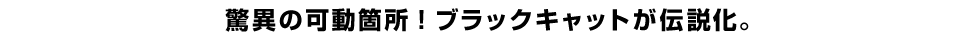 驚異の可動箇所！ブラックキャットが伝説化。