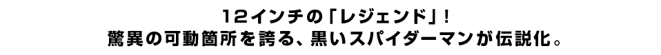 １２インチの「レジェンド」！ 驚異の可動箇所を誇る、黒いスパイダーマンが伝説化。