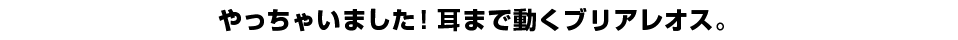 やっちゃいました！耳まで動くブリアレオス。