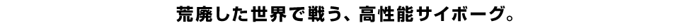 荒廃した世界で戦う、高性能サイボーグ。