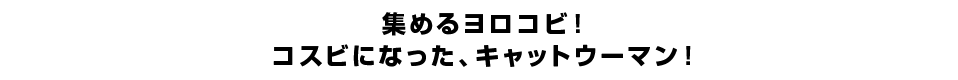 集めるヨロコビ！コスビになった、キャットウーマン！