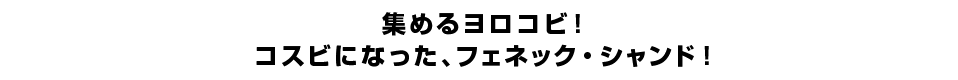 集めるヨロコビ！コスビになった、フェネック・シャンド！