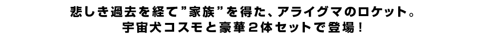 悲しき過去を経て”家族”を得た、アライグマのロケット。宇宙犬コスモと豪華2体セットで登場！