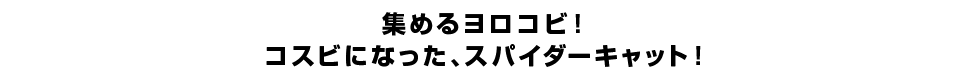 集めるヨロコビ！コスビになった、スパイダーキャット！