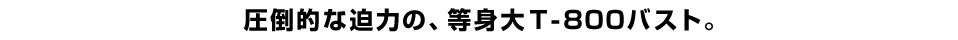 圧倒的な迫力の、等身大T－８００バスト。
