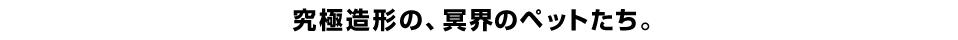 究極造形の、冥界のペットたち。