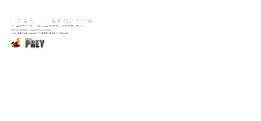 ホーム｜株式会社ホットトイズジャパン